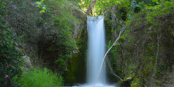 Cada dia uma história mais verde e mais limpa