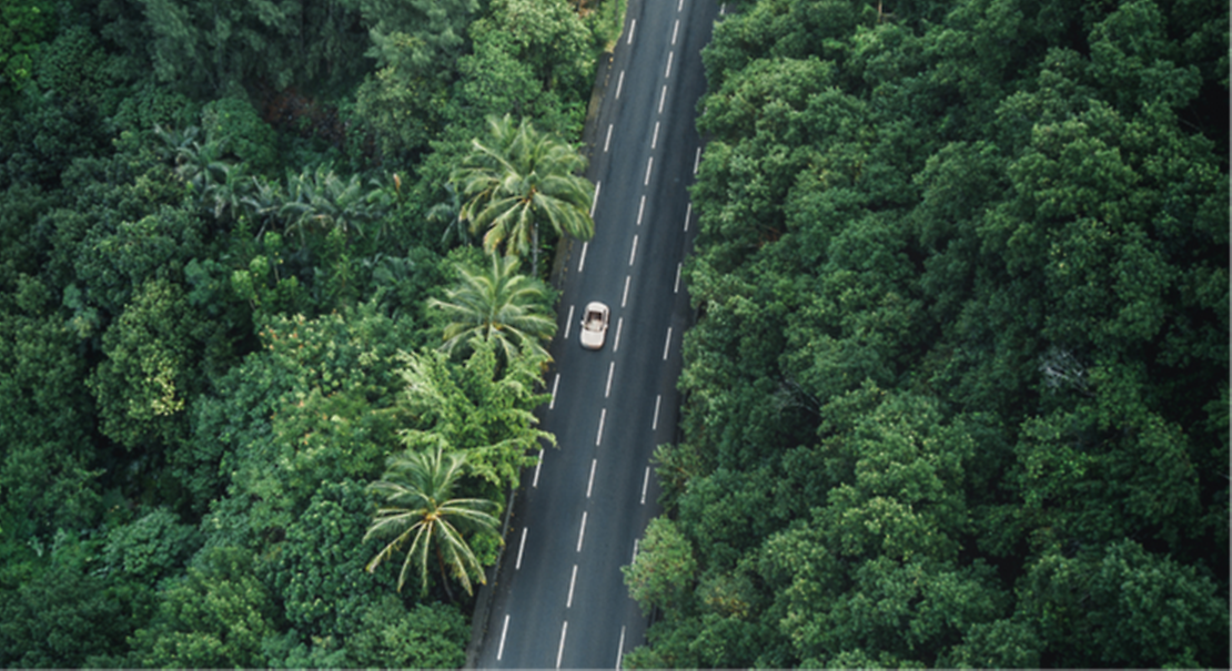 Jungle street from above